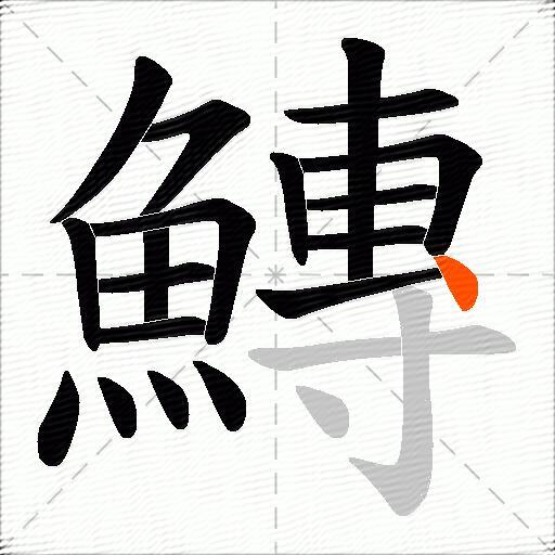 鱄
