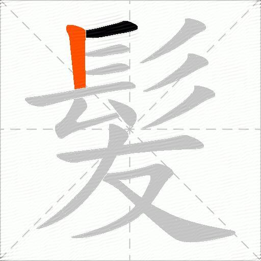 髪