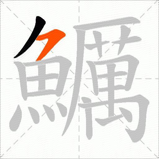 鱱