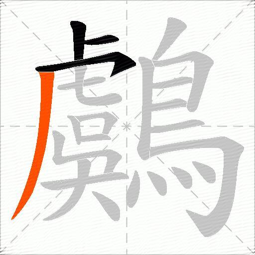 鸆