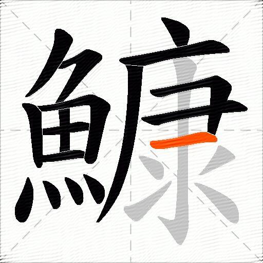 鱇