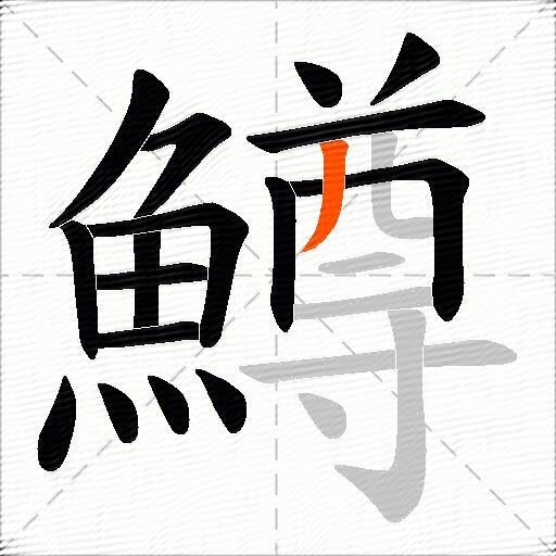 鱒