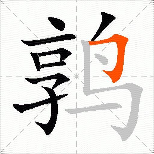 鹑