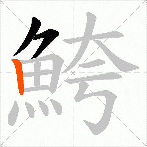鮬