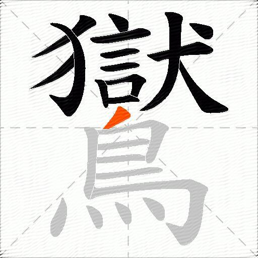 鸑