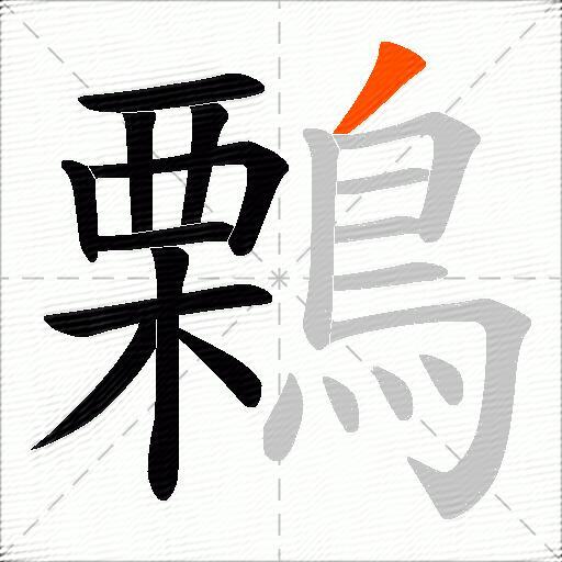 鷅