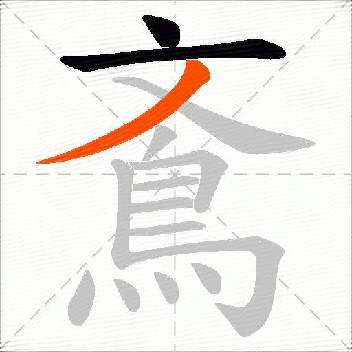 鴍