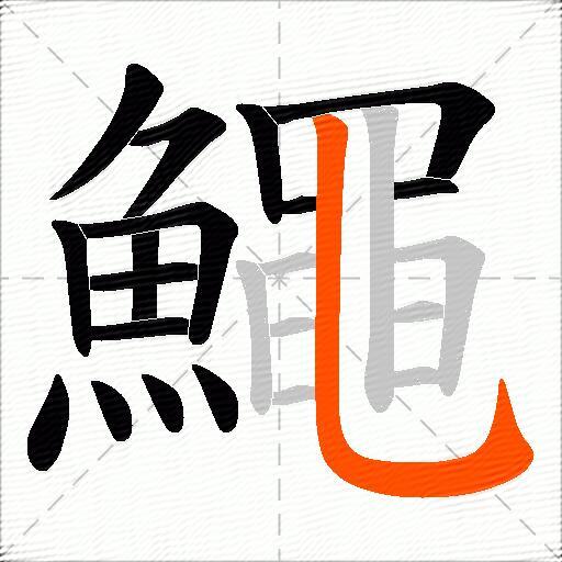 鱦