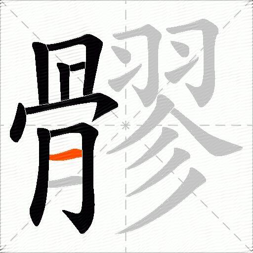 髎