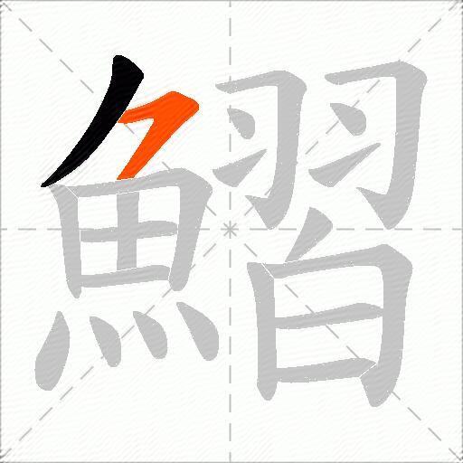 鰼