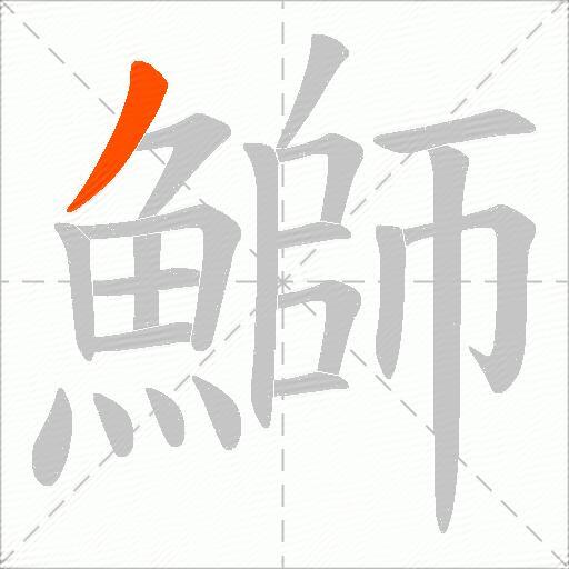 鰤