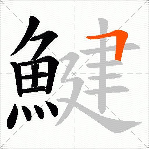 鰎