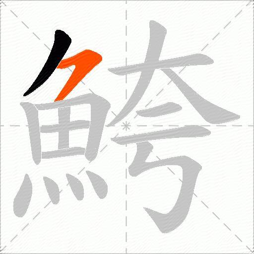 鮬