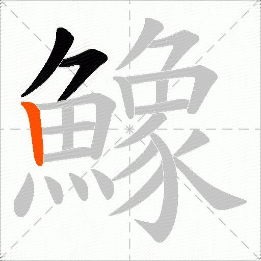 鱌