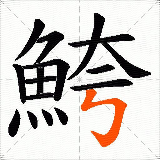 鮬