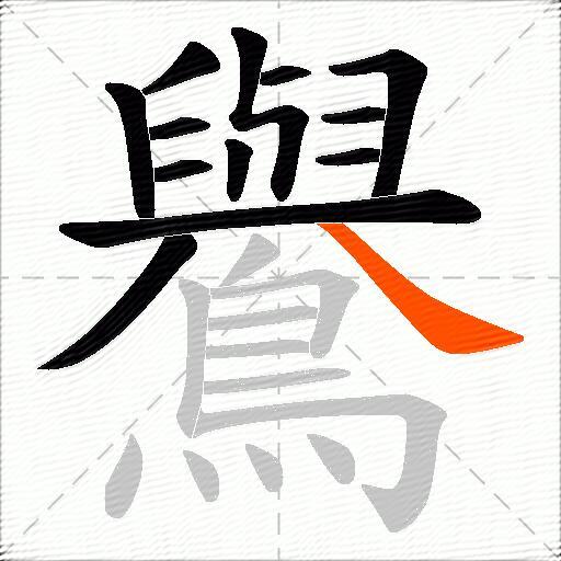 鸒