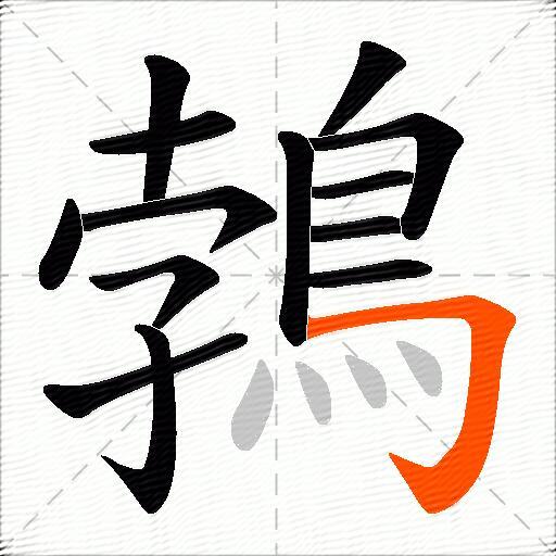 鵓