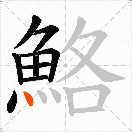 鮥