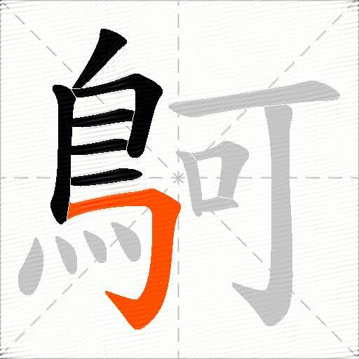 鴚