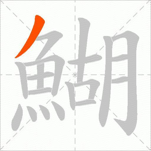 鰗