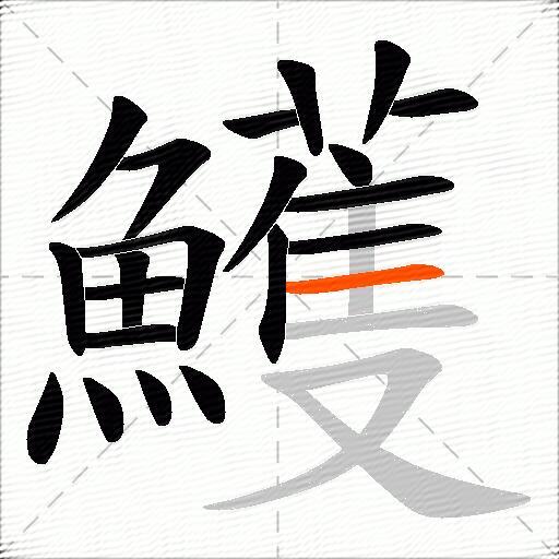 鱯