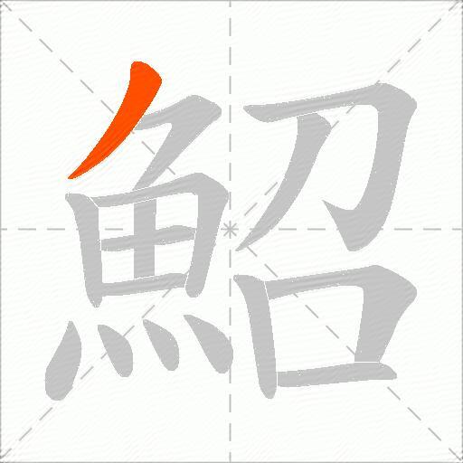 鮉