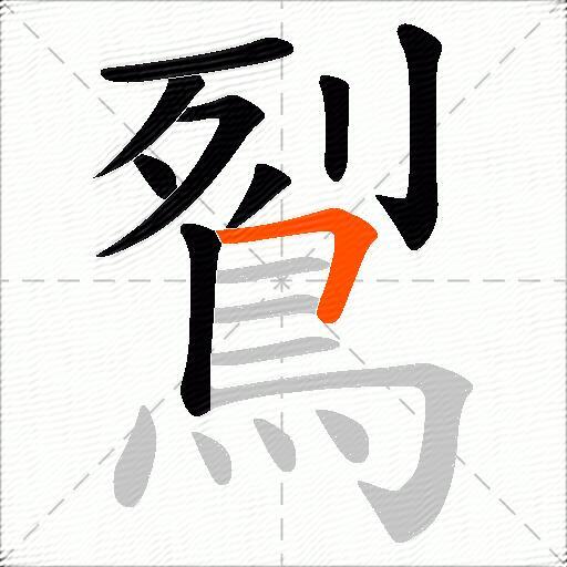 鴷