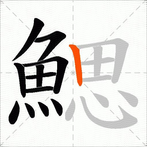 鰓