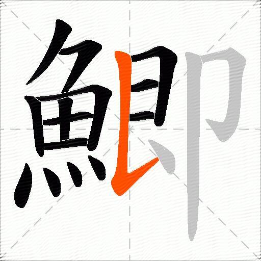 鯽