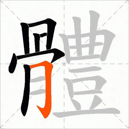 體