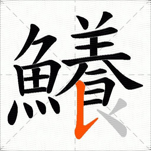 鱶