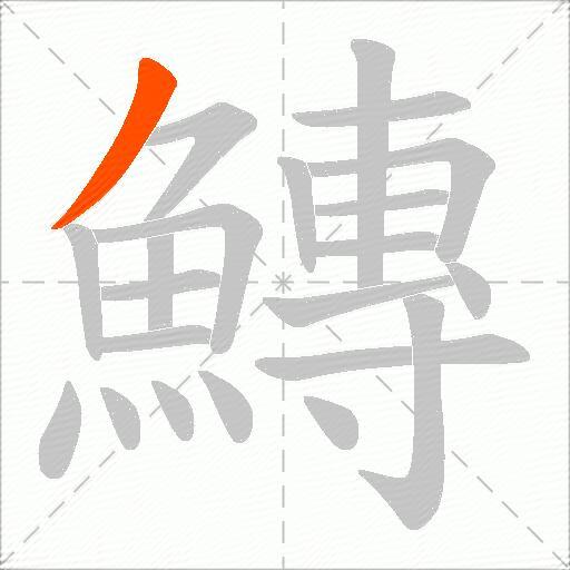 鱄