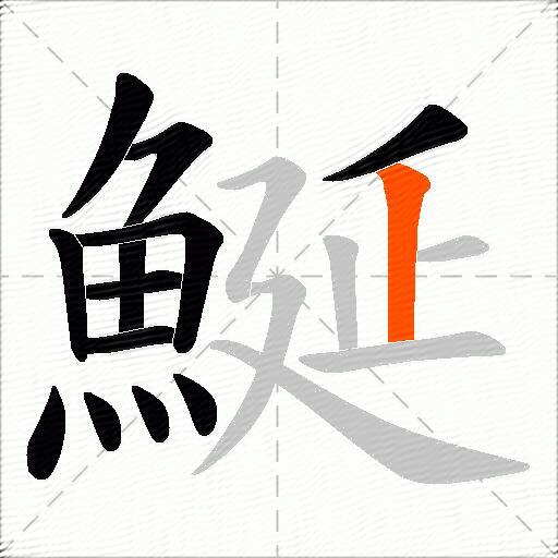鯅