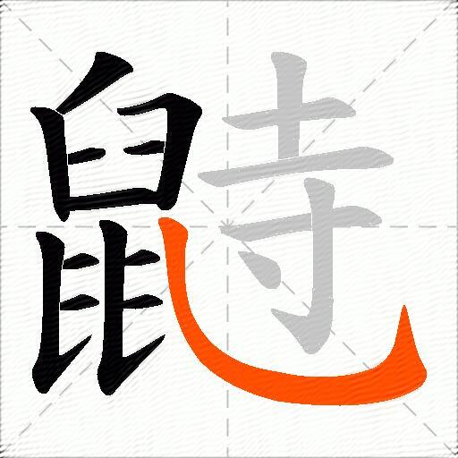 鼭