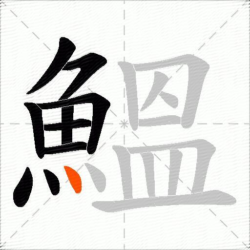 鰮