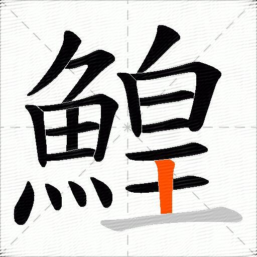 鰉