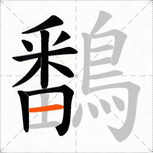鷭