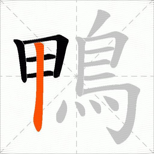 鴨