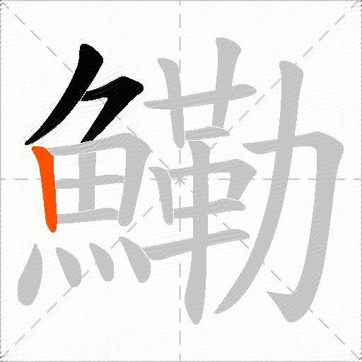鰳