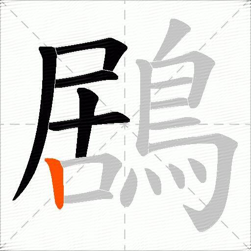 鶋