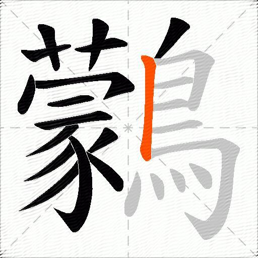 鸏