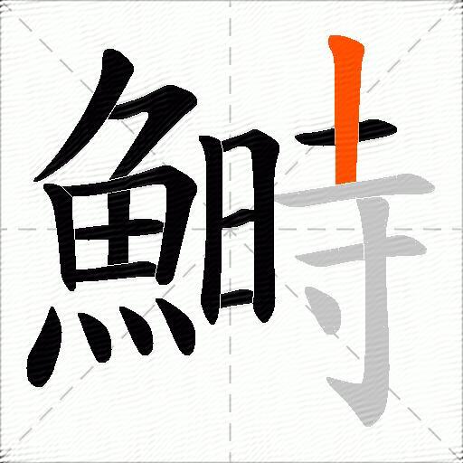 鰣