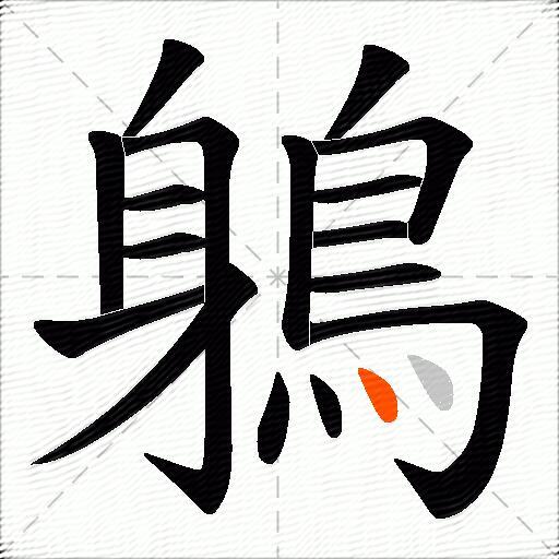 鵢