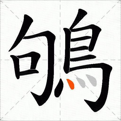 鴝