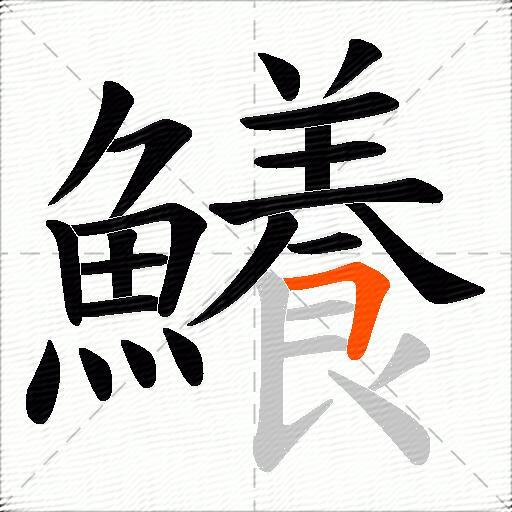 鱶