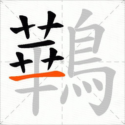 鷨
