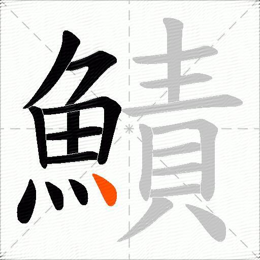 鰿