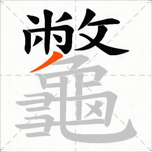 龞