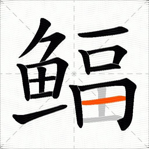 鲾
