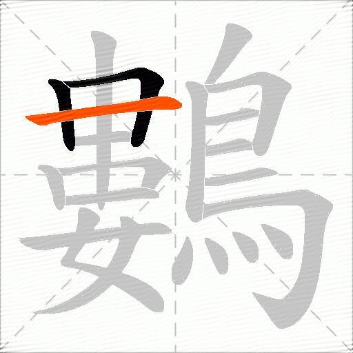 鷜